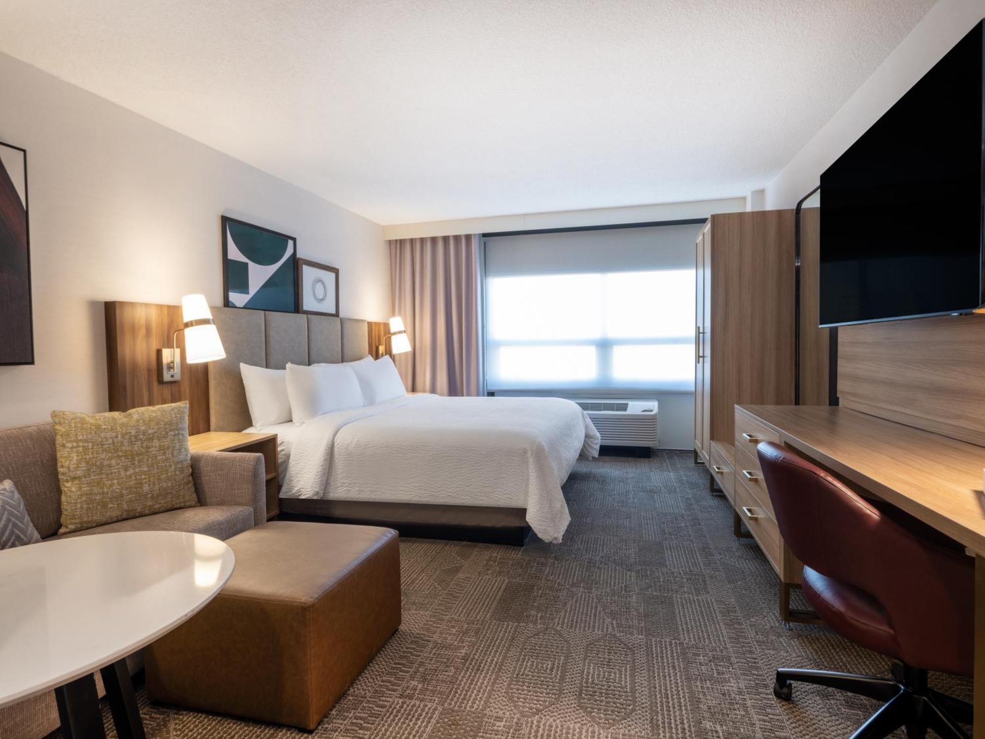 King Studio Suite
