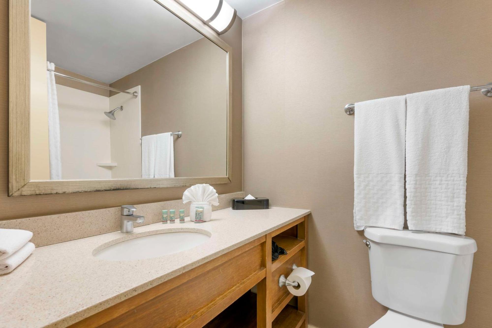 Quarto Duplo com 2 Camas de Casal - Não Fumantes
