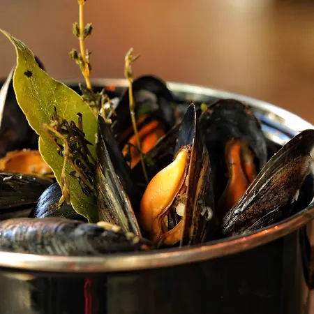 Hotel Felix-2
