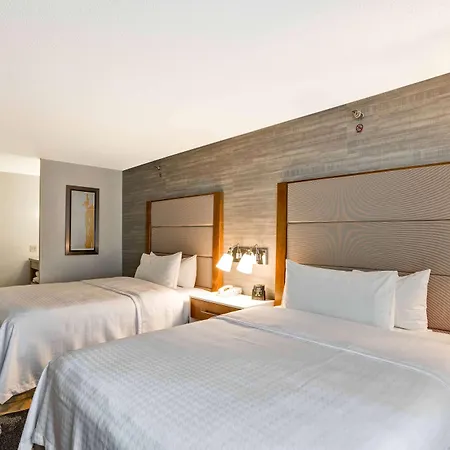 Homewood Suites By Hilton Chicago-Downtown-2